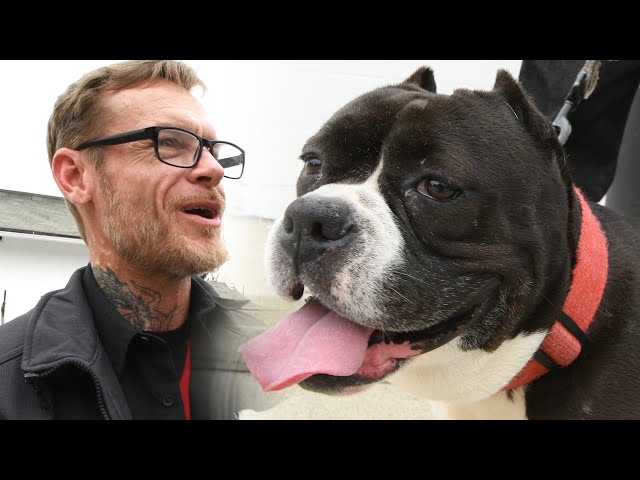 Man and dog who experienced homelessness thankful for support, 4 years later