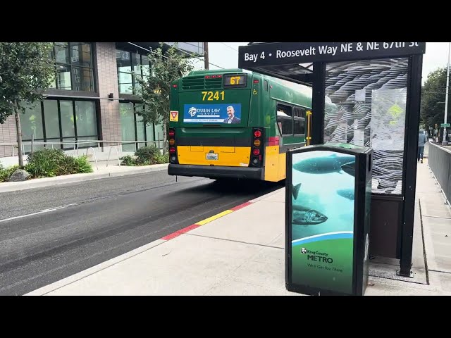 King County Metro 2014 XDE40 #7241 On The 67 From Northgate To Roosevelt Station (August 22, 2024)