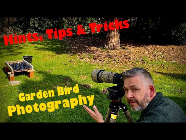 Bird Photography / Hints & Tips on how to make our garden birds look even more special/Nikon D500