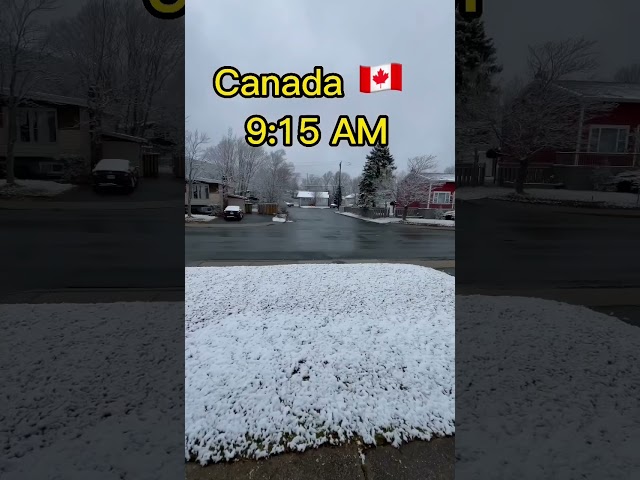 Canada life 🇨🇦😱😱