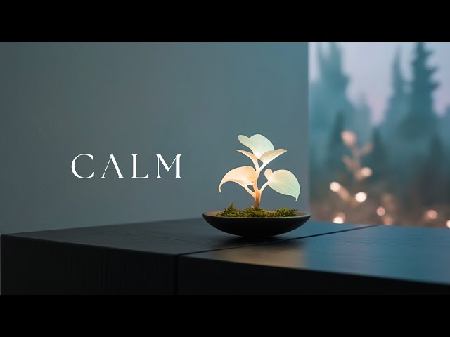 Relaxing Music | Soothing Sounds for Inner Peace, Stress Relief, Study, Sleep, and Meditation