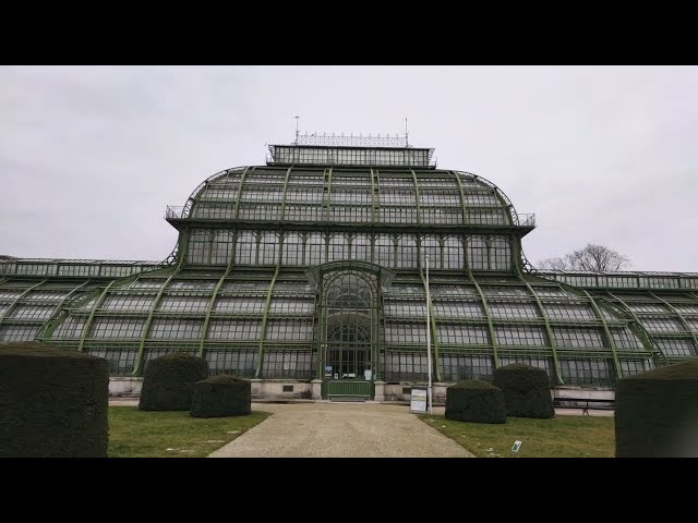 Palmenhaus Schloss Schönbrunn Riesen Größtes Glashaus in Europa