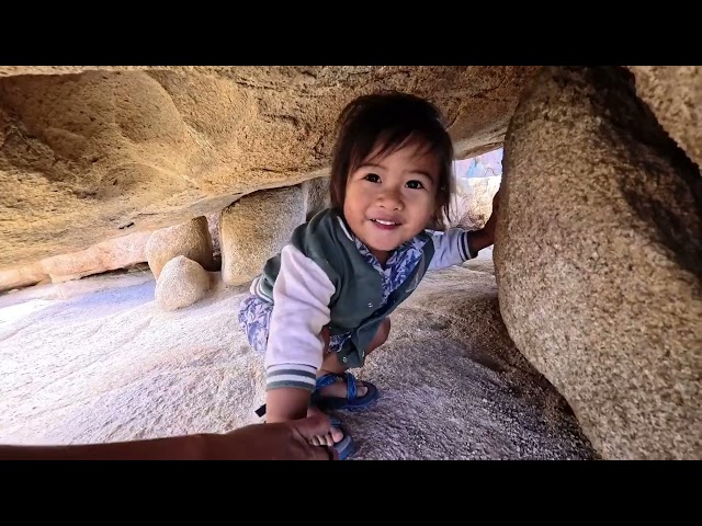 What Vanlife with a 2 Year Old Looks Like in Joshua Tree NP | A Van Life Family Vlog