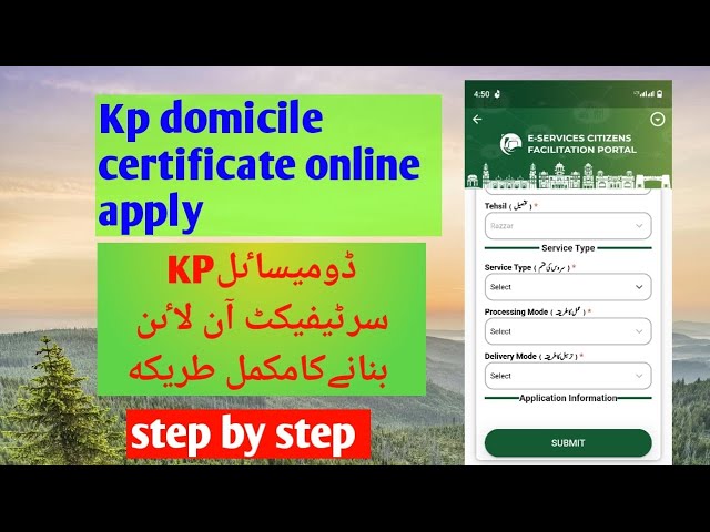 How to Apply for a Domicile Certificate Online (Step by Step)