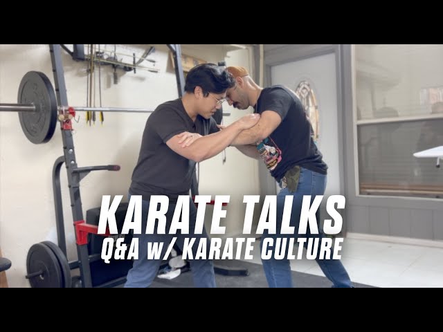 Karate Vlog - Discussions on combat, self-defense and teaching #karate #martialarts #training