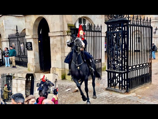 Incredible Horsemanship: Royal Guards Handle High Drama at Horse Guard!"