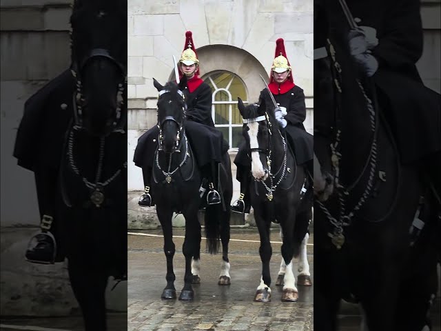 Despite the bad weather, the Blues and Royals performed an amazing 4 o'clock inspection