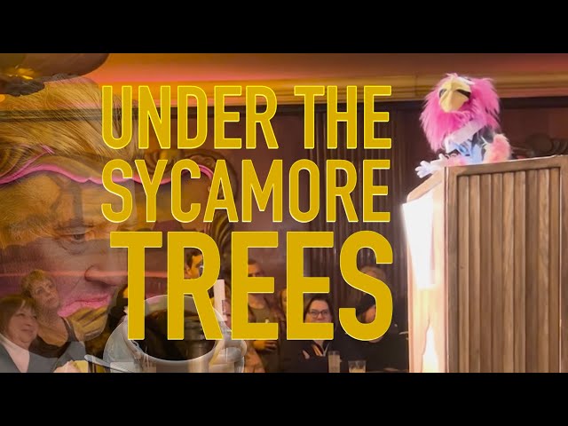 Under the Sycamore Trees [FULL] 01/18/25