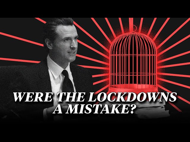 Were the COVID-19 Lockdowns a Mistake?