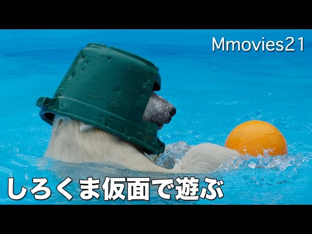 Fun!Polar Bear HERO ranger! しろくま仮面は止められない