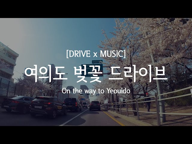 Ep.41 여의도 벚꽃 드라이브(4K) / On the way to Yeouido