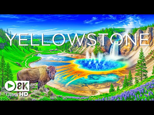 Yellowstone National Park 8K UHD - Vibrant Wildlife and Serene Nature with Calming Music - 8K Video