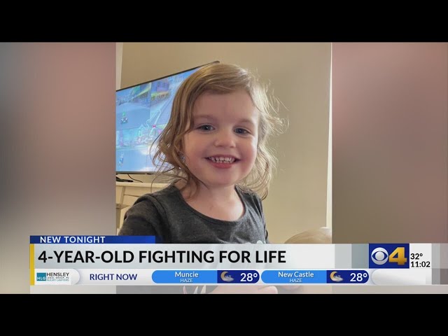 Zionsville girl fighting for her life after contracting flu, pneumonia