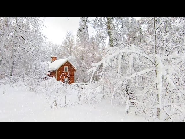 Instrumental Acoustic Indie Playlist / Chill Music "Vermont Winter Cabin" Open Road Folk Music