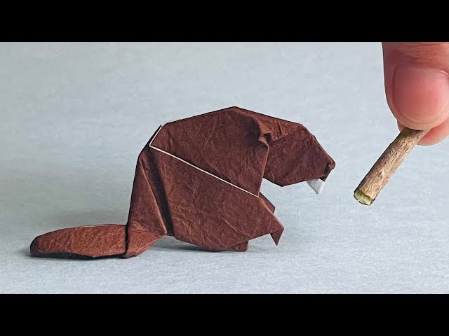 Origami Beaver 1.1, step by step tutorial