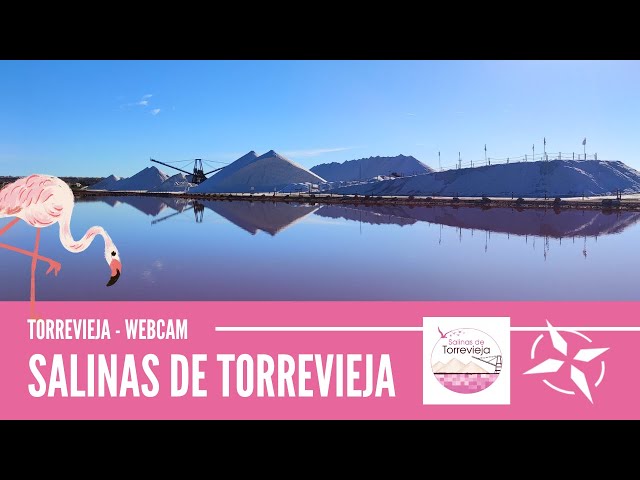 Salinas de Torrevieja - Webcam de Torrevieja