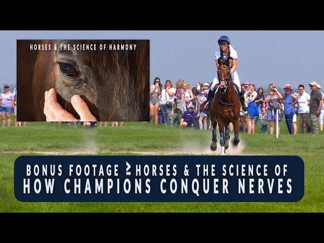 How Champions Conquer Nerves - BONUS footage from Horses & the Science of Harmony