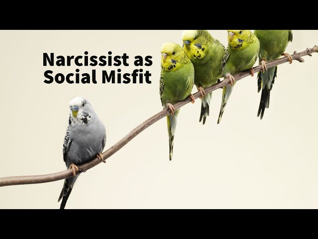 Narcissist as Social Misfit (Social Learning Theory)