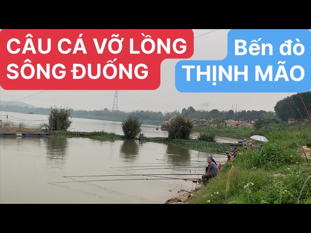 Du lịch bụi và câu cá đang phát trực tiếp!Câu cá vỡ lồng gần bến đò Thịnh Mão Thuận Thành Bắc Ninh.