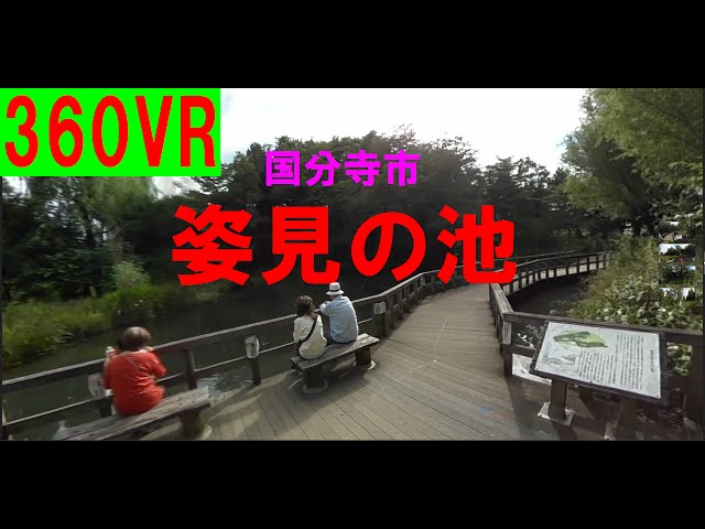 【360VR】 国分寺市・姿見の池を散策してみました【3Dメガネ/VRゴーグル対応】【360 VR 全天球型/SP360 4K映像】(2016年9月03日)