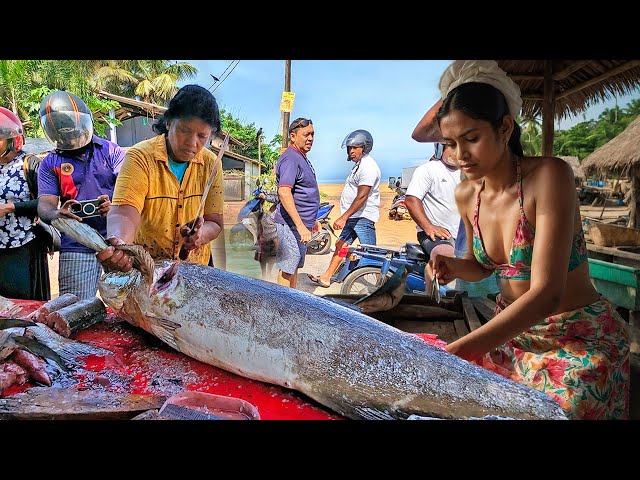 Women Showcasing Incredible Fish Cutting Skills by the Street Fish Market