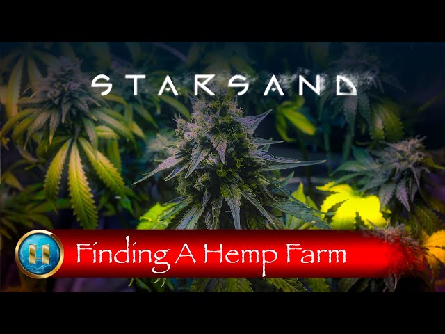 STARSAND - Finding a Giant Hemp Farm, Finding the Furnace BP, Finding the Metal Hammer BP, and MORE!