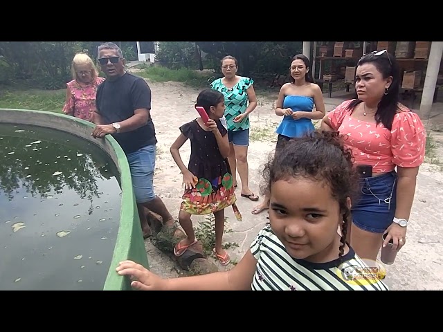 VISITANTES DE TERESINA PIAUI