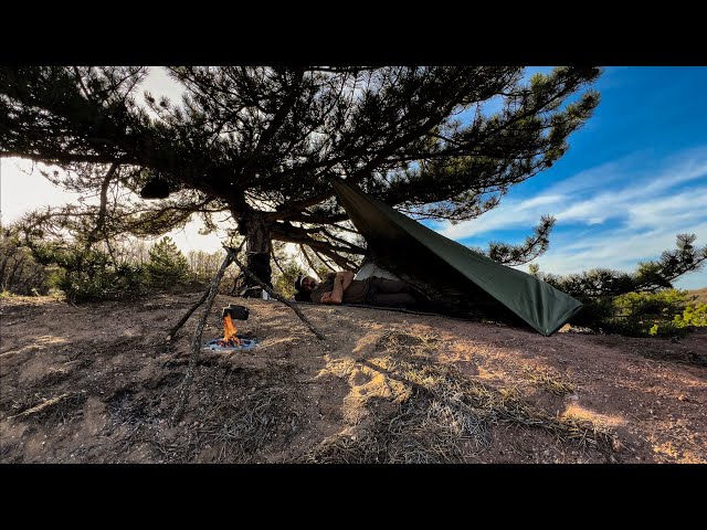 Bushcraft Awning Camping Alone in the Wild Forest of Rural Village - Camp Food From Natural Herbs