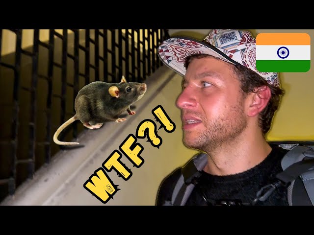 Greeted by Rats in Mumbai - First Day in India 🇮🇳