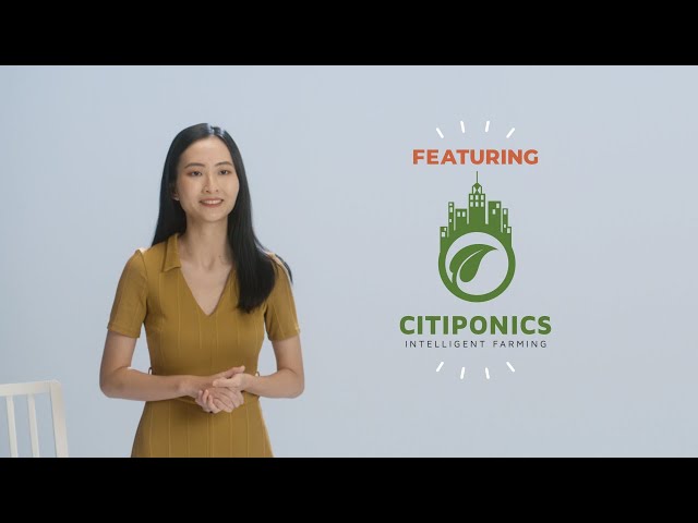 #WePowerSG Profile Series - Danielle Chan, Citiponics