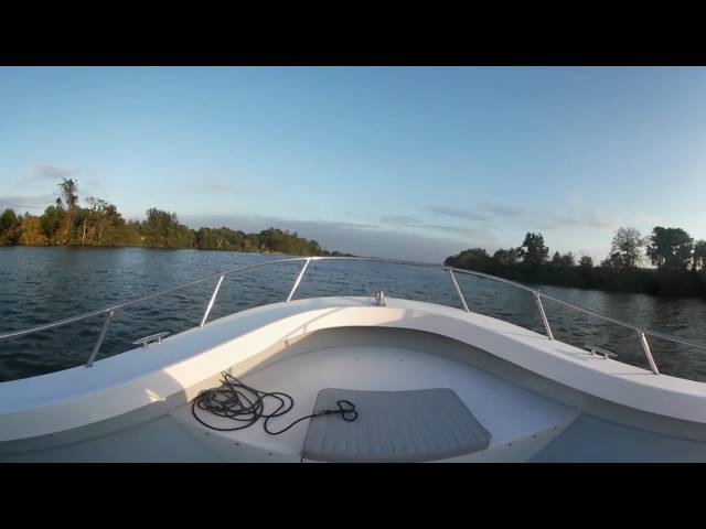 360 Video of Sturgeon Breaching in the James River