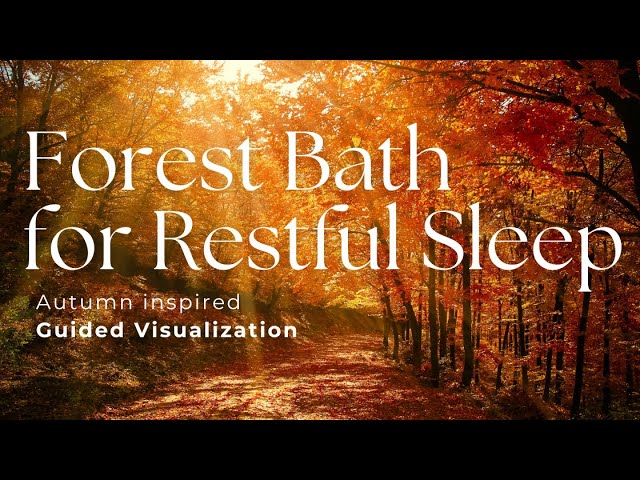 9 Minute Forest Bath for Restful Sleep | Guided Visualization for Sleep