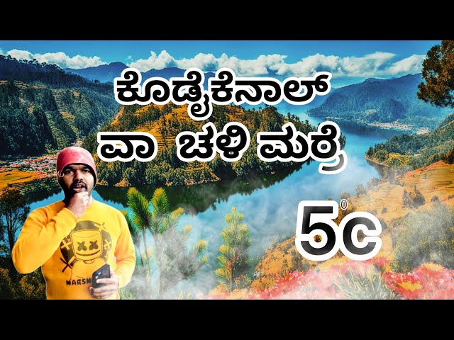 ಕೊಡೈಕೆನಾಲ್  ಚಳಿಯಲ್ಲಿ  ಅತೀ ಸುಂದರವಾದ ದೃಶ್ಯ ☁️☁️ #tamilnadu #travelvlog #vlog