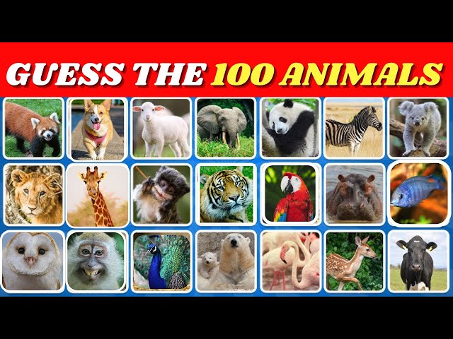 Guess the 100 Animals Quiz | Test Your Animal Knowledge!