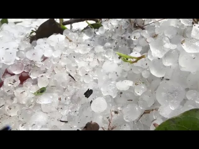 Today Rain Video 2024 ⛈️rain video ( WhatsApp status video)