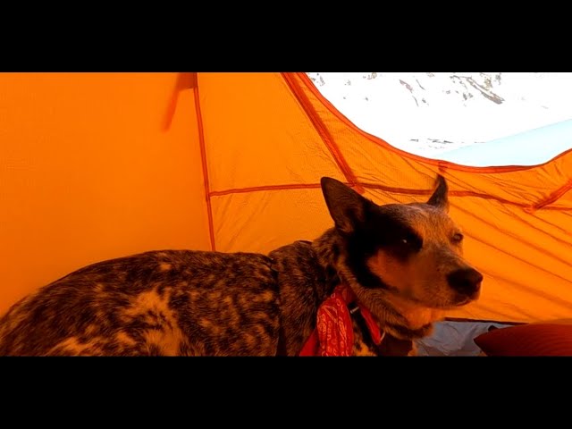 360 video in my tent above High Camp on the Northwest side of Mount Adams, WA.