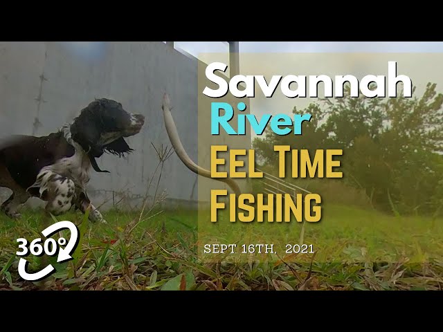 360/VR Savannah River - Eel Time Fishing