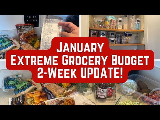 2-Week UPDATE! January Extreme Vegan Grocery Budget Challenge | Trader Joe’s Winter Haul