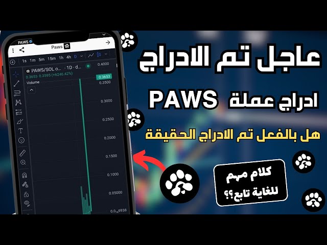 عاجل ادراج عملة PAWS هل بالفعل تم الادراج الحقيقة الكاملة 🔥🐾