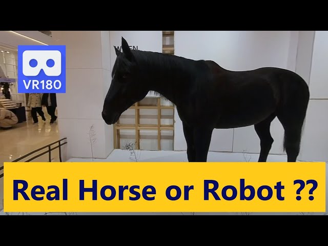 3D 180VR 4K Is it a Real Horse or a Robot?  a Horse in the Shopping Mall