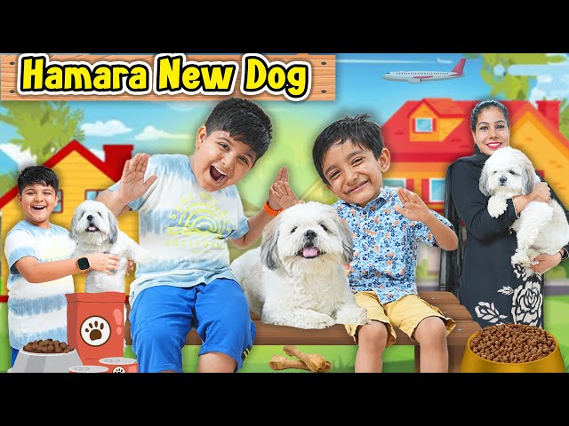 Hamara New Dog | Ridhu Pidhu