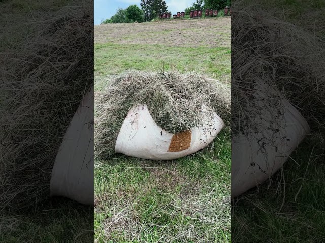 Hay Harvest #farming