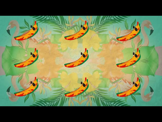 Banana (feat. Shaggy) [DJ FLe - Minisiren Remix] Lyric Video | Conkarah