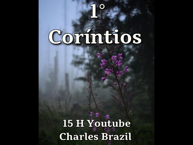 1 CORÍNTIOS  (5B)