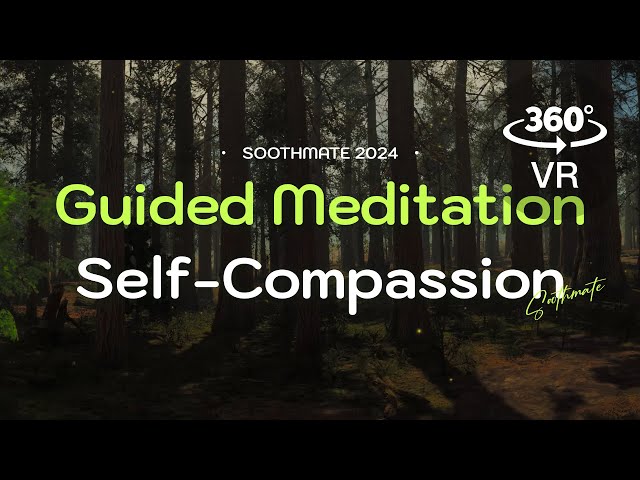 🌲 360° VR Guided Meditation for Self-Compassion: Build Confidence & Self-Worth