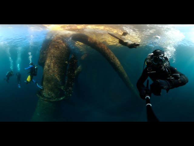 Diving an oil rig off San Pedro [360]