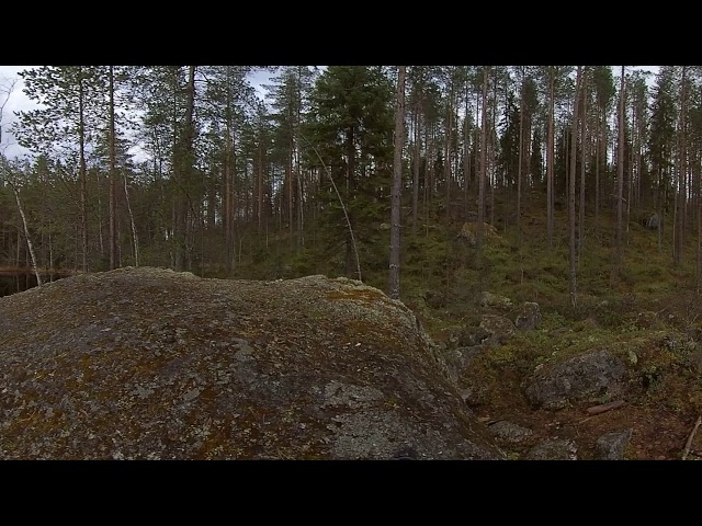 360 Video. Just nature - Haukilampi, Laukaa, Finland.