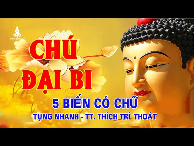 Chú Đại Bi (5 biến trì tụng NHANH có chữ) - TT. Thích Trí Thoát tụng