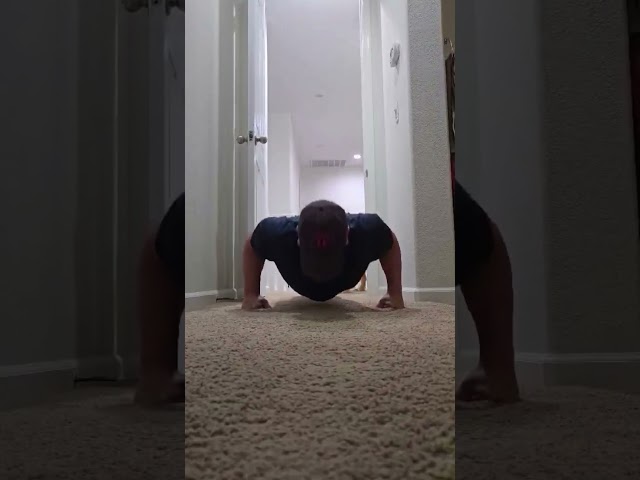 Day 282 - 22 Push Ups  #health #motivation #anxiety  #depression #fitness  #goals #dog #puppy