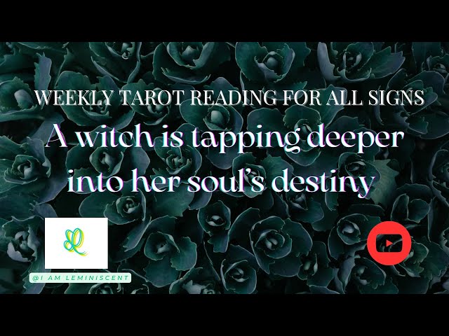 A witch is tapping deeper into her mental magic 🪄 | Tarot & Oracle Reading for All Signs